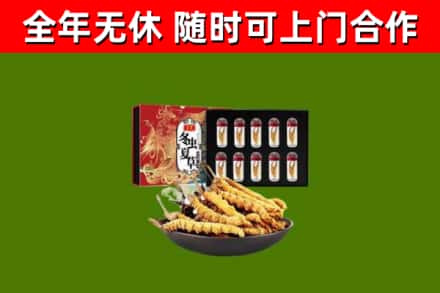 义乌市回收冬虫夏草价格